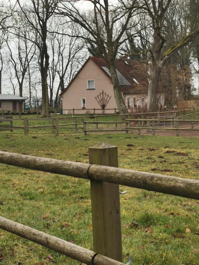 Ferienwohnung Am Stadtrand Garz Ruegen Exteriör bild